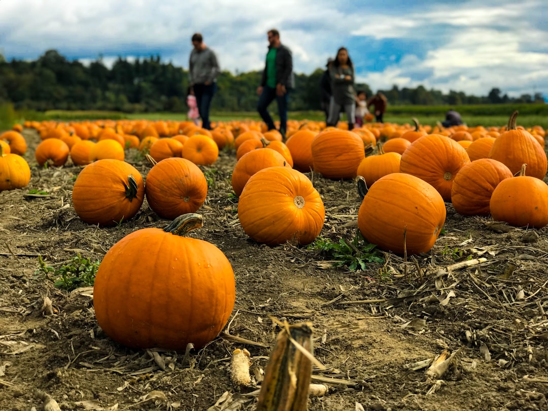 Happy Fall Y’all: Embracing the Joy of Autumn